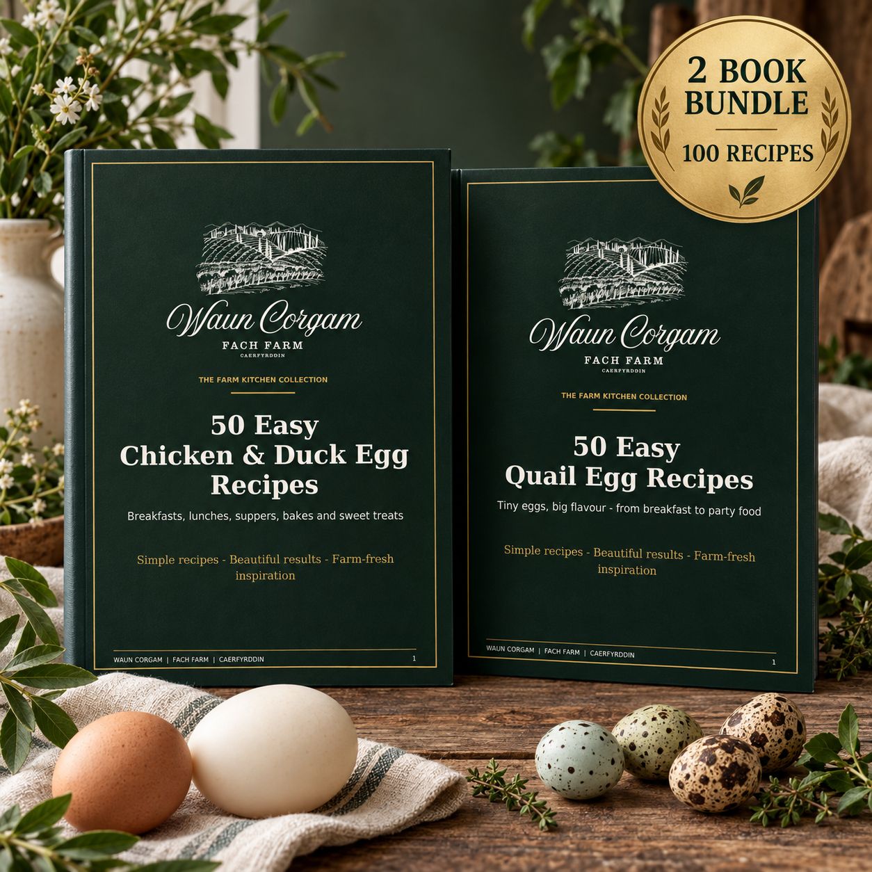 Complete Egg Recipe Book Collection – 100 Recipes