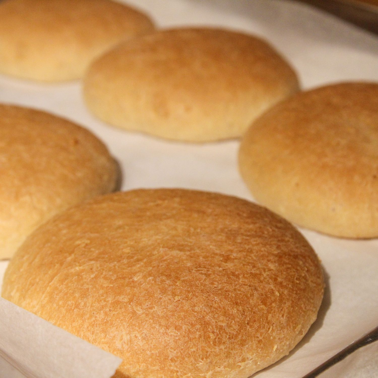 Trinidadian Coconut Bake ( Box of 12)