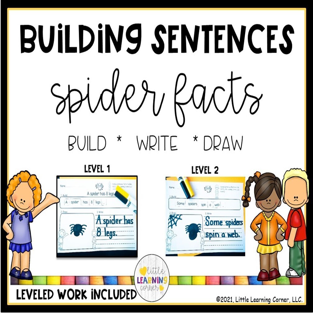 Building Sentences: Spider Facts