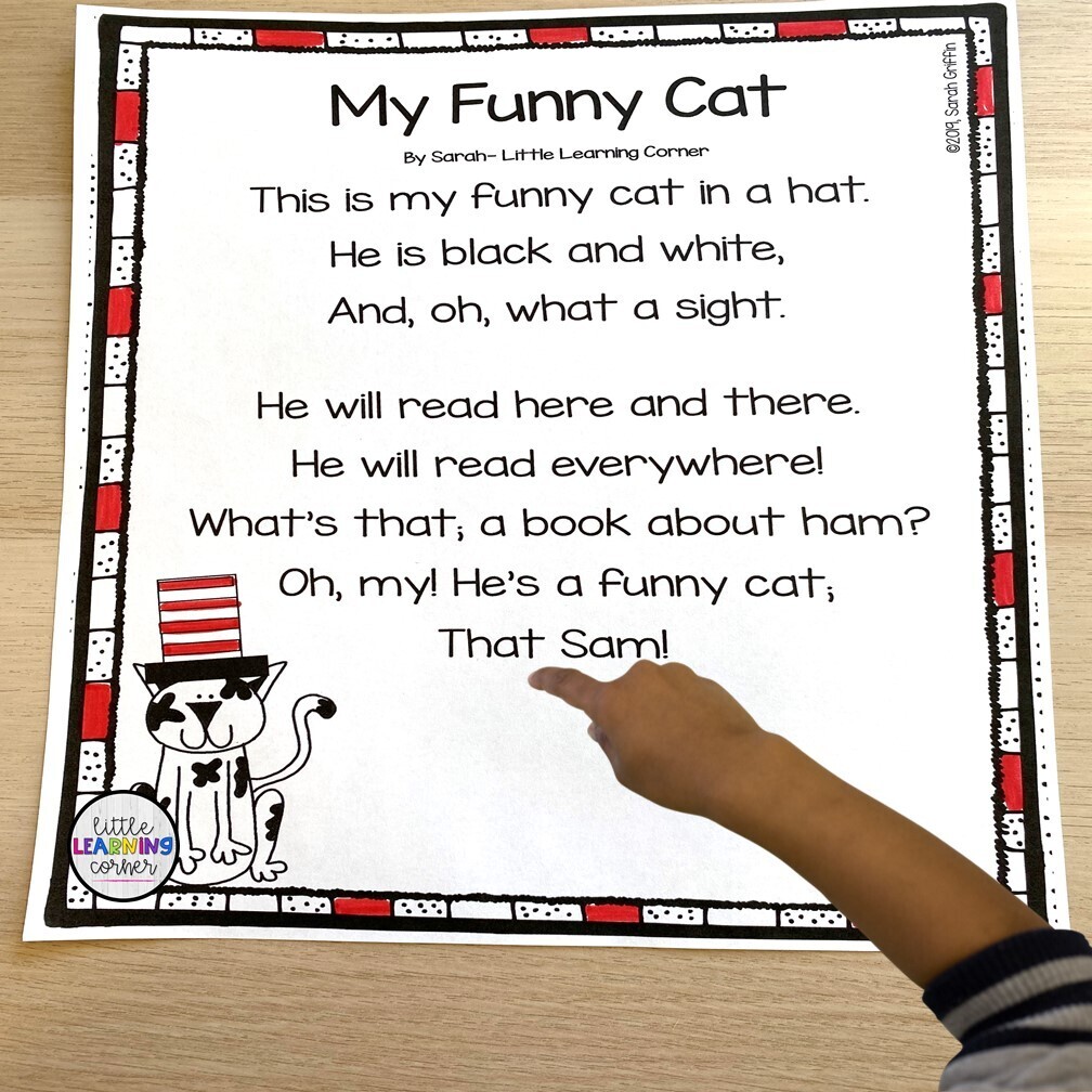 My Funny Cat Poem