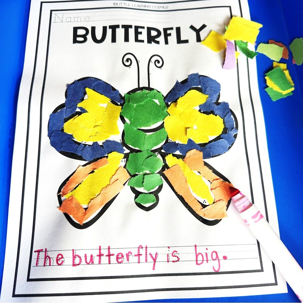 Butterfly Tear Art Craft