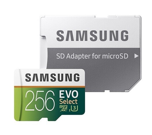 Samsung Tarjeta de memoria flash MicroSDXC EVO | Class10 | 256GB