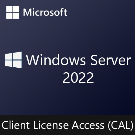 Windows Server 2022 CAL | Client License Access | Licencia Perpetua CSP