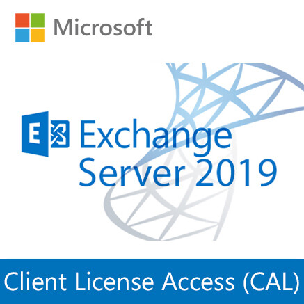 Exchange Server Standard 2019 CAL | Client License Access | Licencia Perpetua CSP