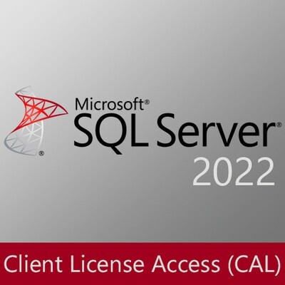 SQL Server Standard 2022 CAL | Client License Access | Licencia Perpetua CSP