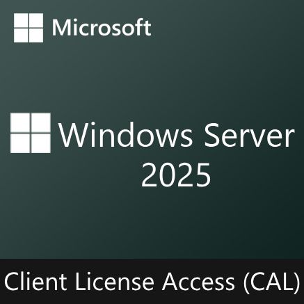 Windows Server 2025 CAL | Client License Access | Licencia Perpetua CSP