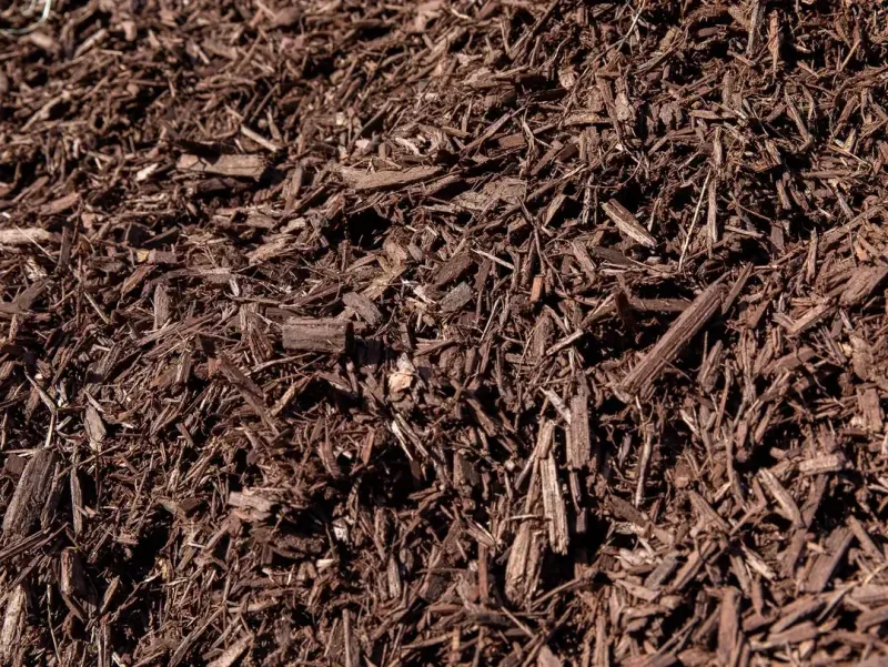Brown Mulch