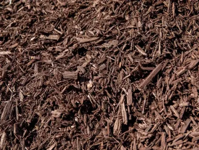 Brown Mulch