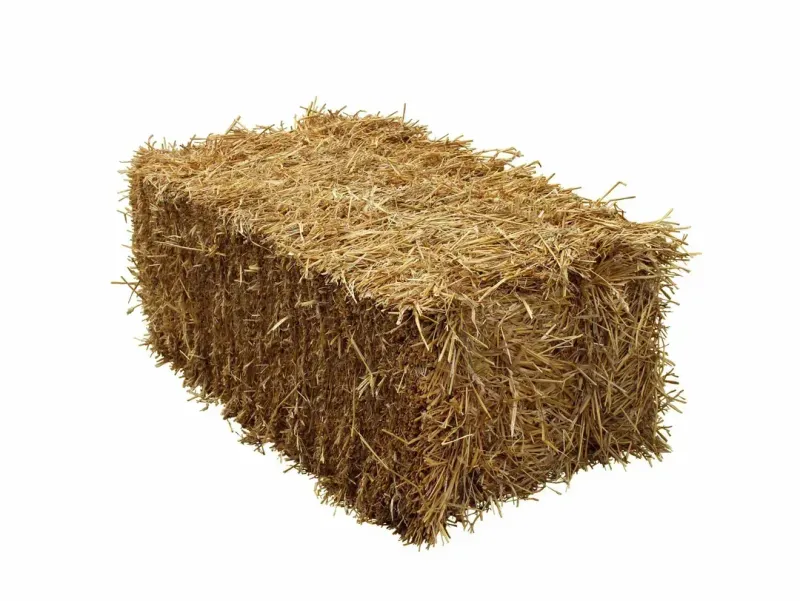 Straw