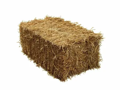Straw