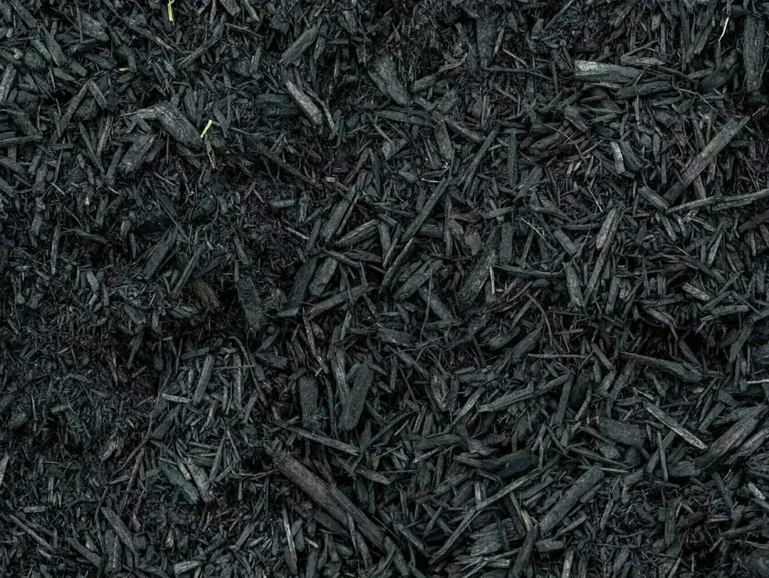 Black Mulch