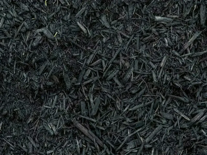 Black Mulch