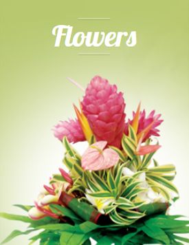 Floral designs by the pineapple store