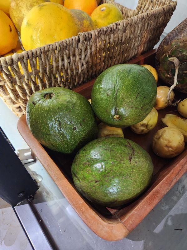 large Butter Avocado
