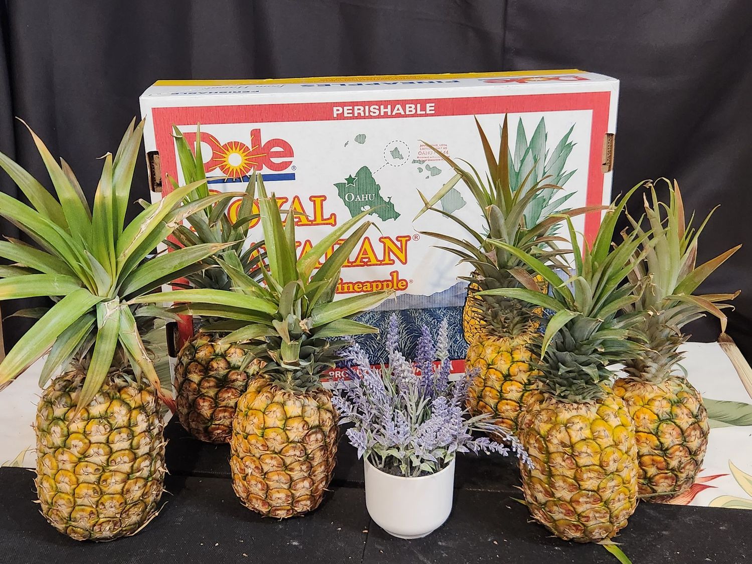 Hawaiian Pineapples (Package of 6)