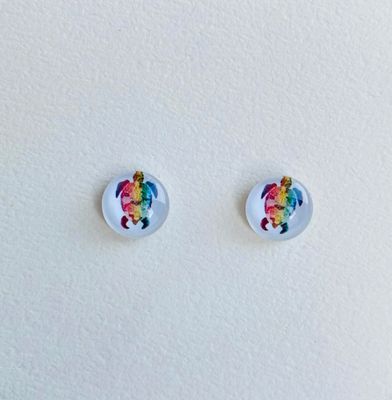 Rainbow Turtles
