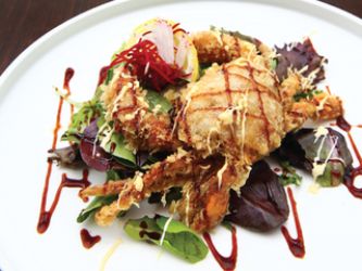 Soft Shell Crab