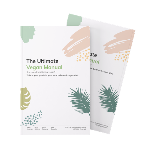 Vegan Streetfood Ultimate Vegan Manual + 7 Day Meal Plan