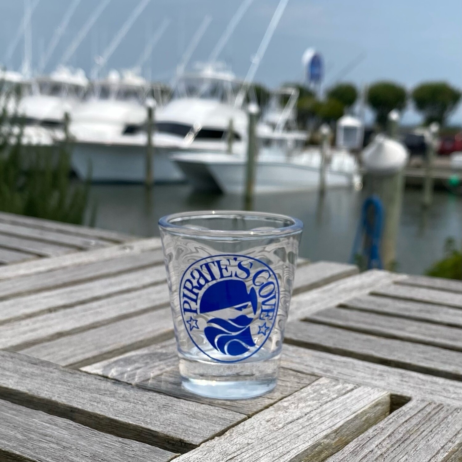 Pirates Cove Wavy Logo Shot Glass