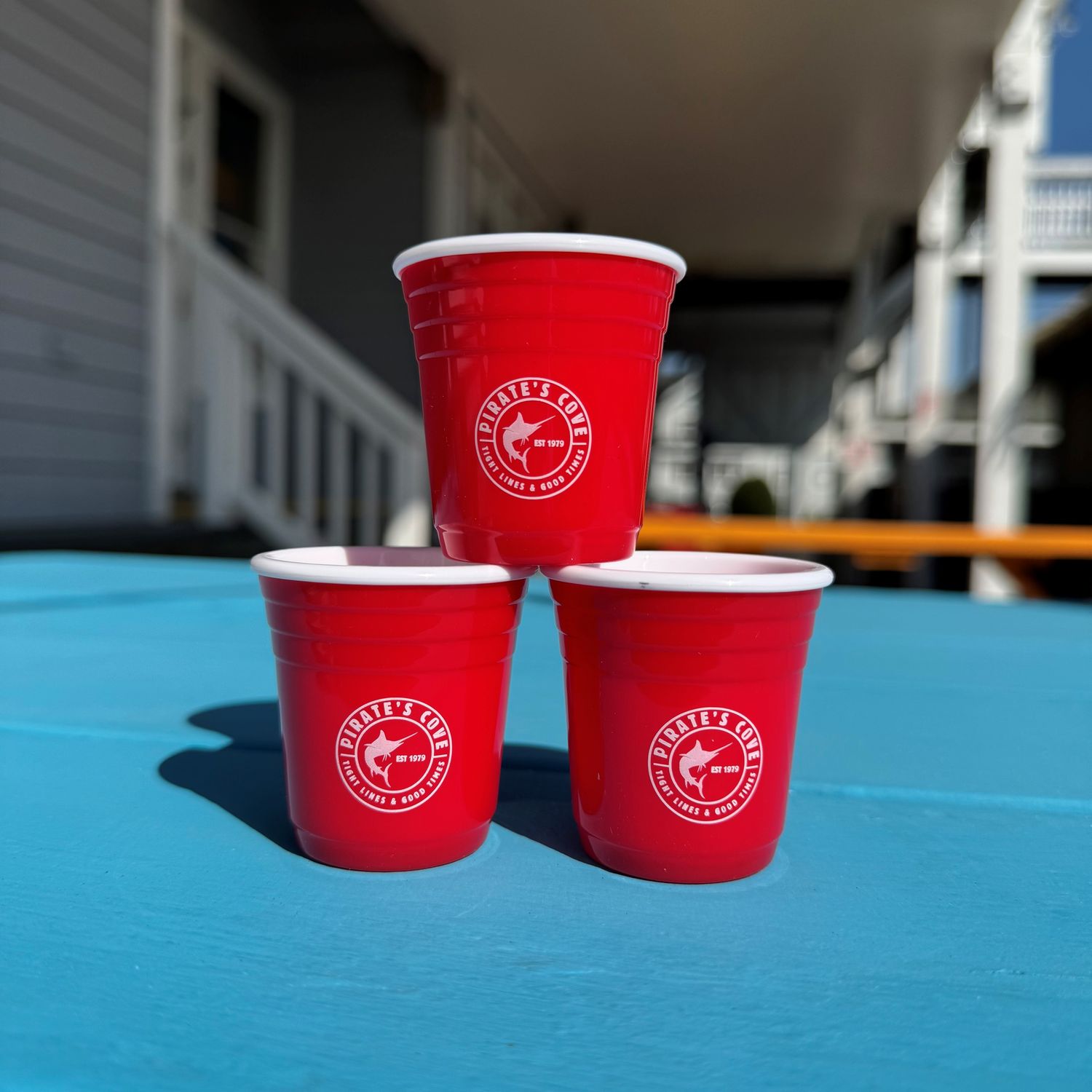 Pirate's Cove Slammer Shot