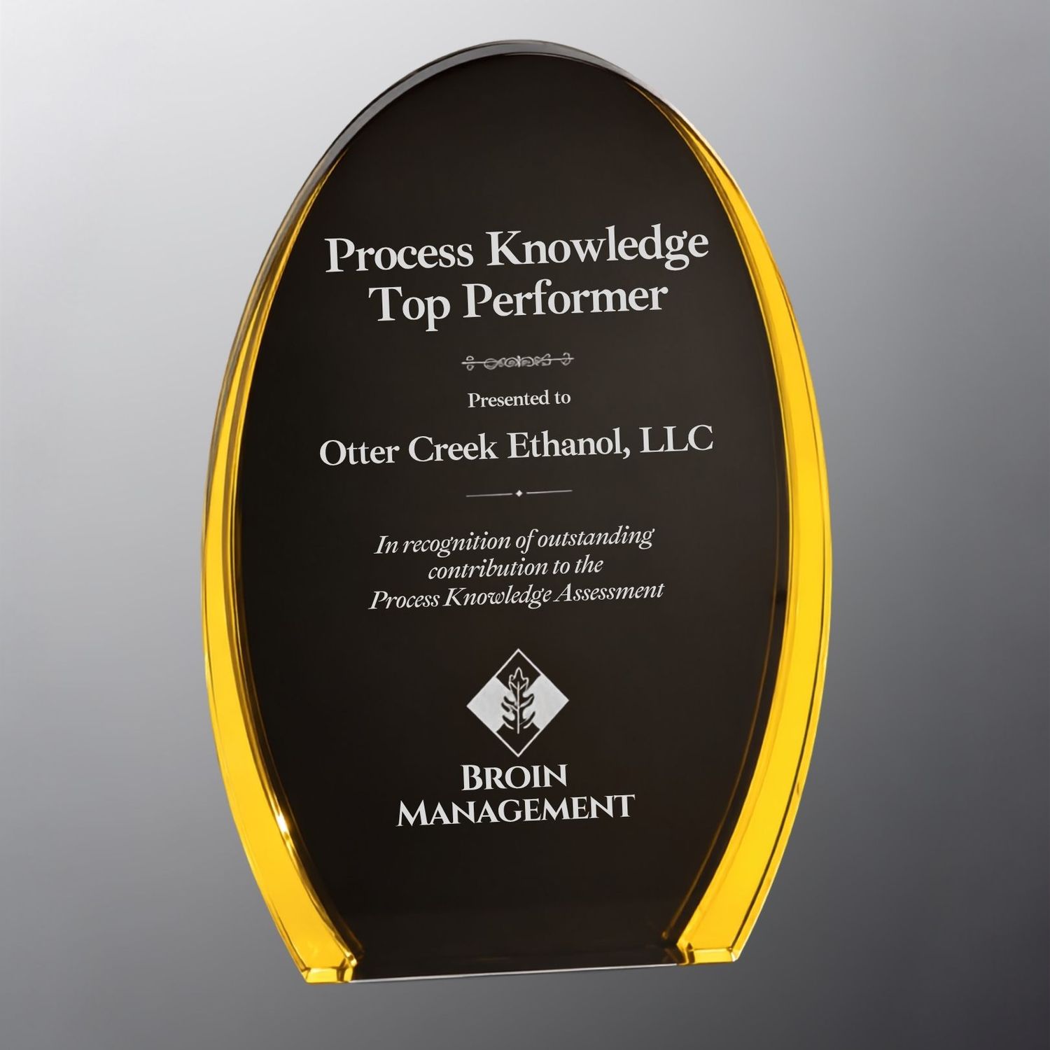 Black/Gold Illuminary Oval Acrylic Award