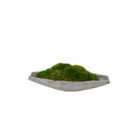 Stone Boat / MoodMoss