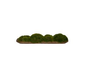 Lg Wood Tray / Mood Moss