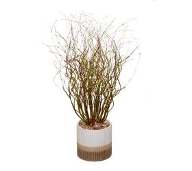 Two Toned Vase / Brn and Grn vines