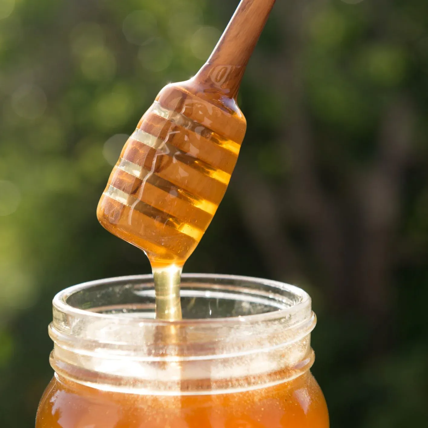 Olive Wood Honey Wand