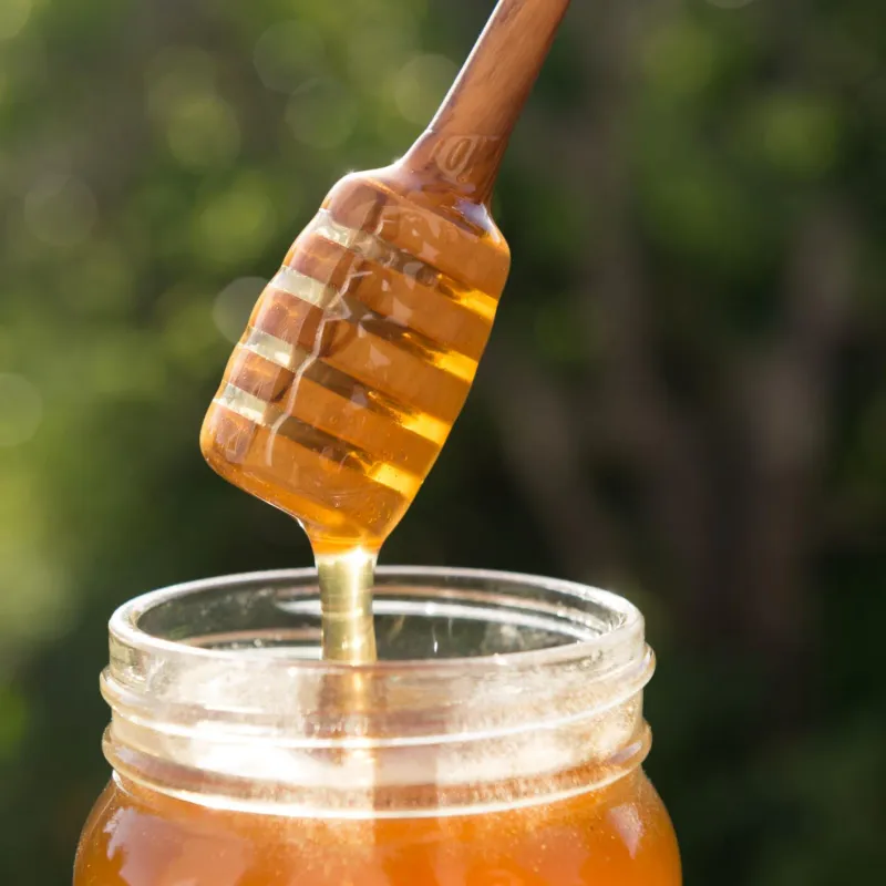 Olive Wood Honey Wand