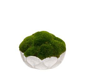 WH Ceramic Bowl / Mood Moss