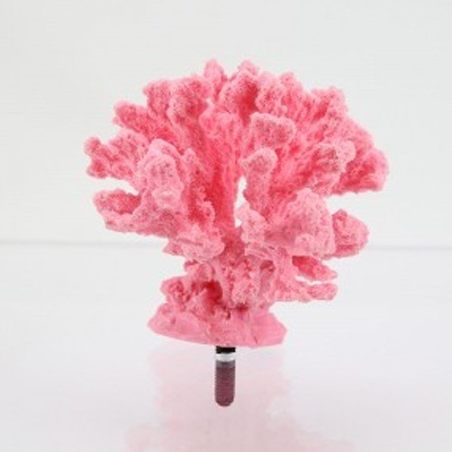 Cauliflower 387
