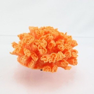 Orange Cup