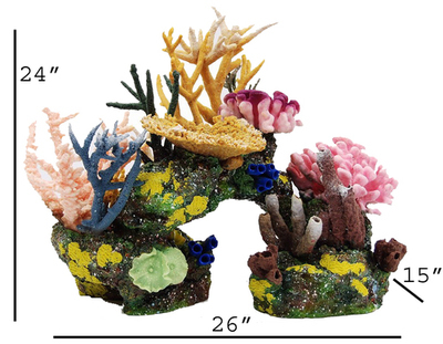 The Aruba Signature Kit w/attached Corals