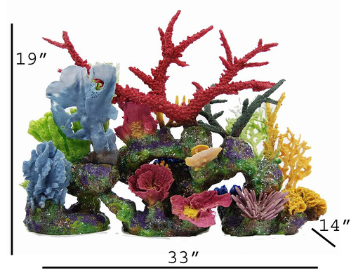 The Barbados Signature Kit w/attached Corals