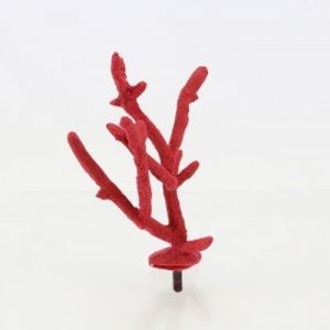 Branch