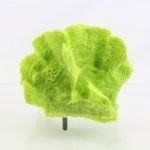 Lettuce 127