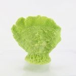 Lettuce 312