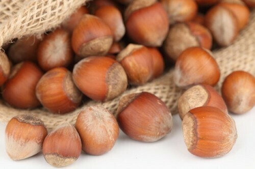 NOCCIOLA