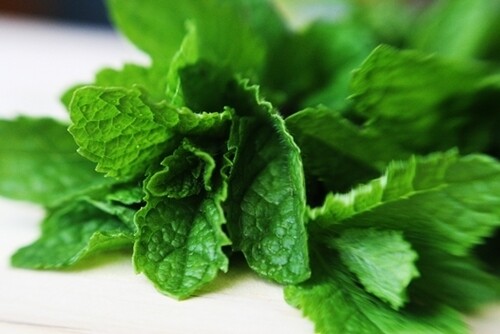 MENTA  SENZA NICOTINA