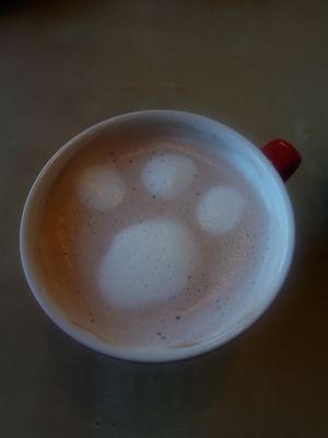 Hot Chocolate