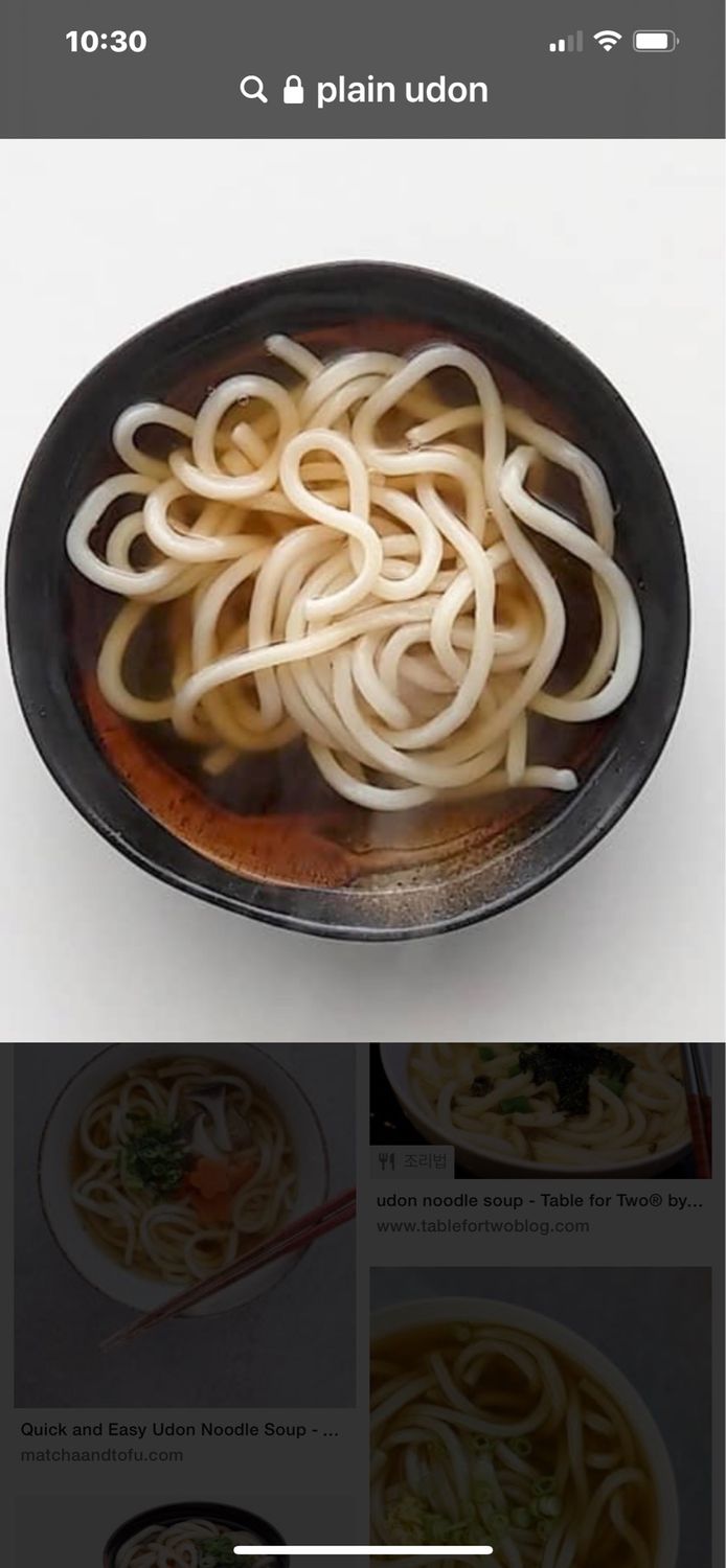 Plain Udon