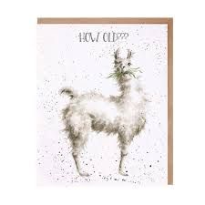 Wrendale Card "How Old"