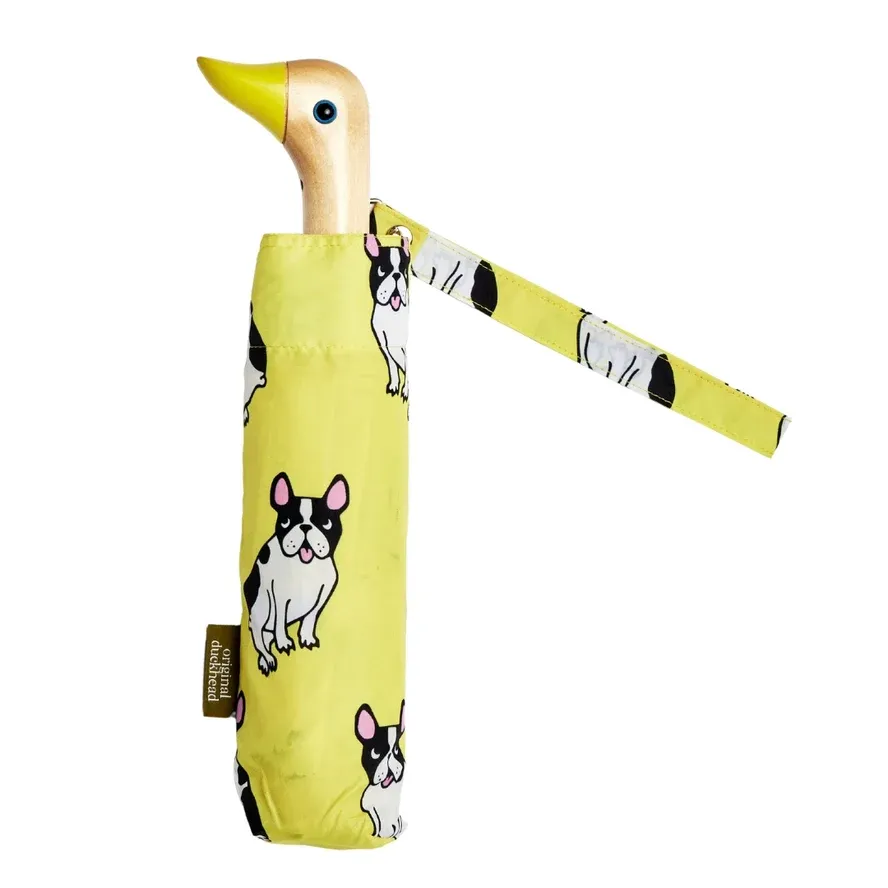 Original Duckhead Umbrella Frenchie Dog