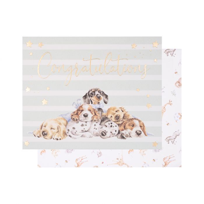 Wrendale Card "Congratulations"