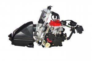 Rotax Evo MicroMax Complete Rotax Evo MicroMax Complete