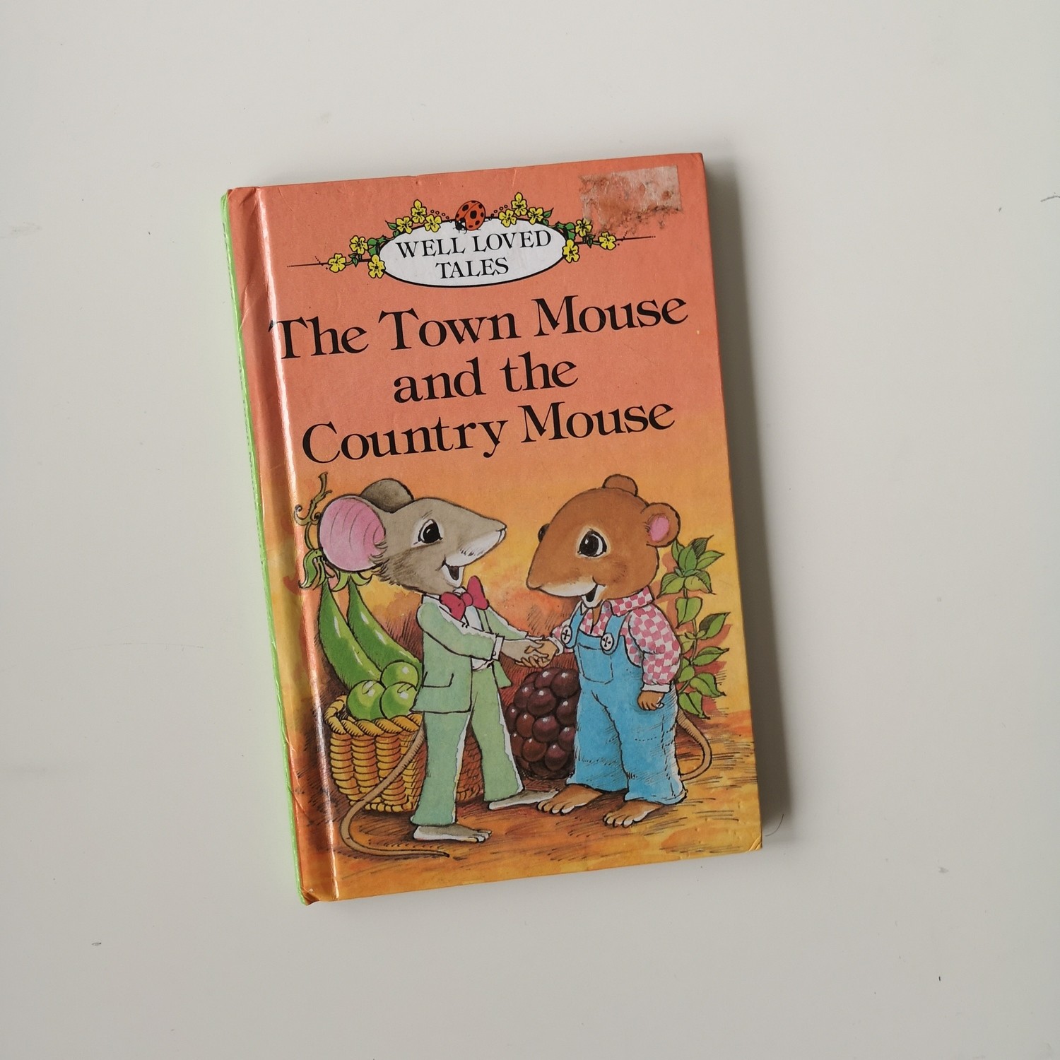 The Town Mouse and Country Mouse Notebook