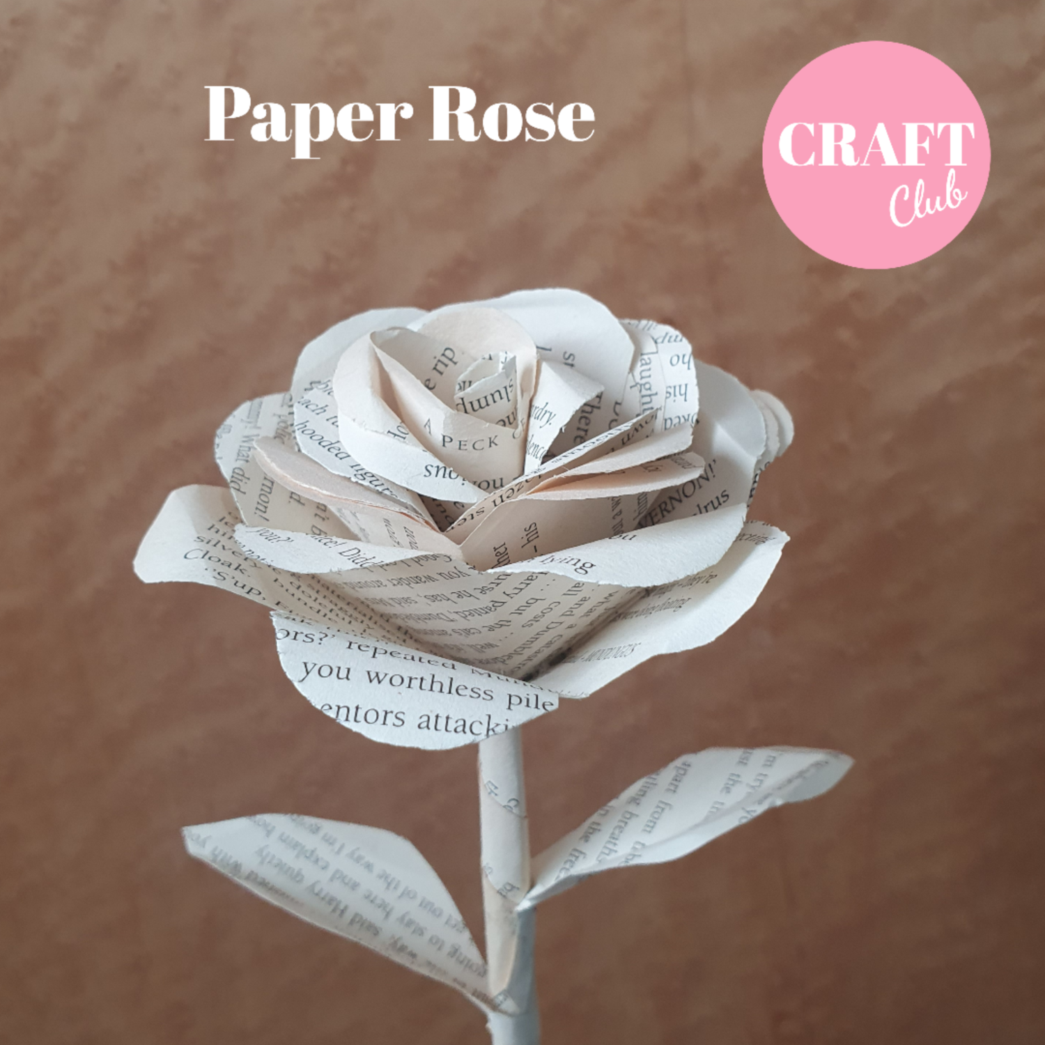 Paper Rose -  CRAFT CLUB - free UK postage