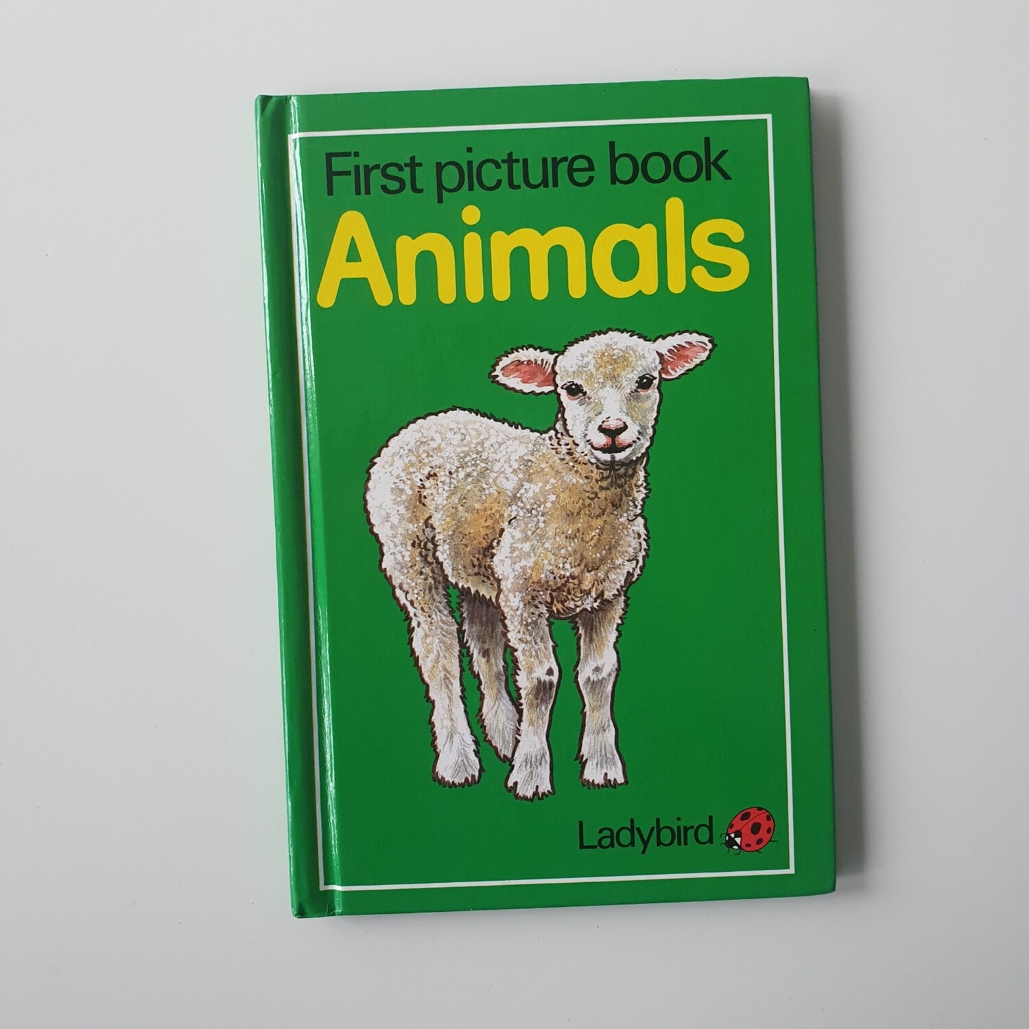 Lamb 1st picture book notebook - Ladybird Book