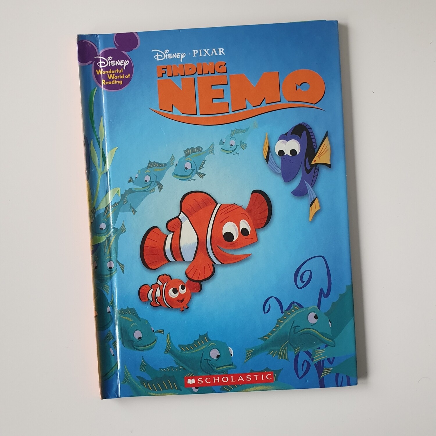 Finding Nemo Notebook